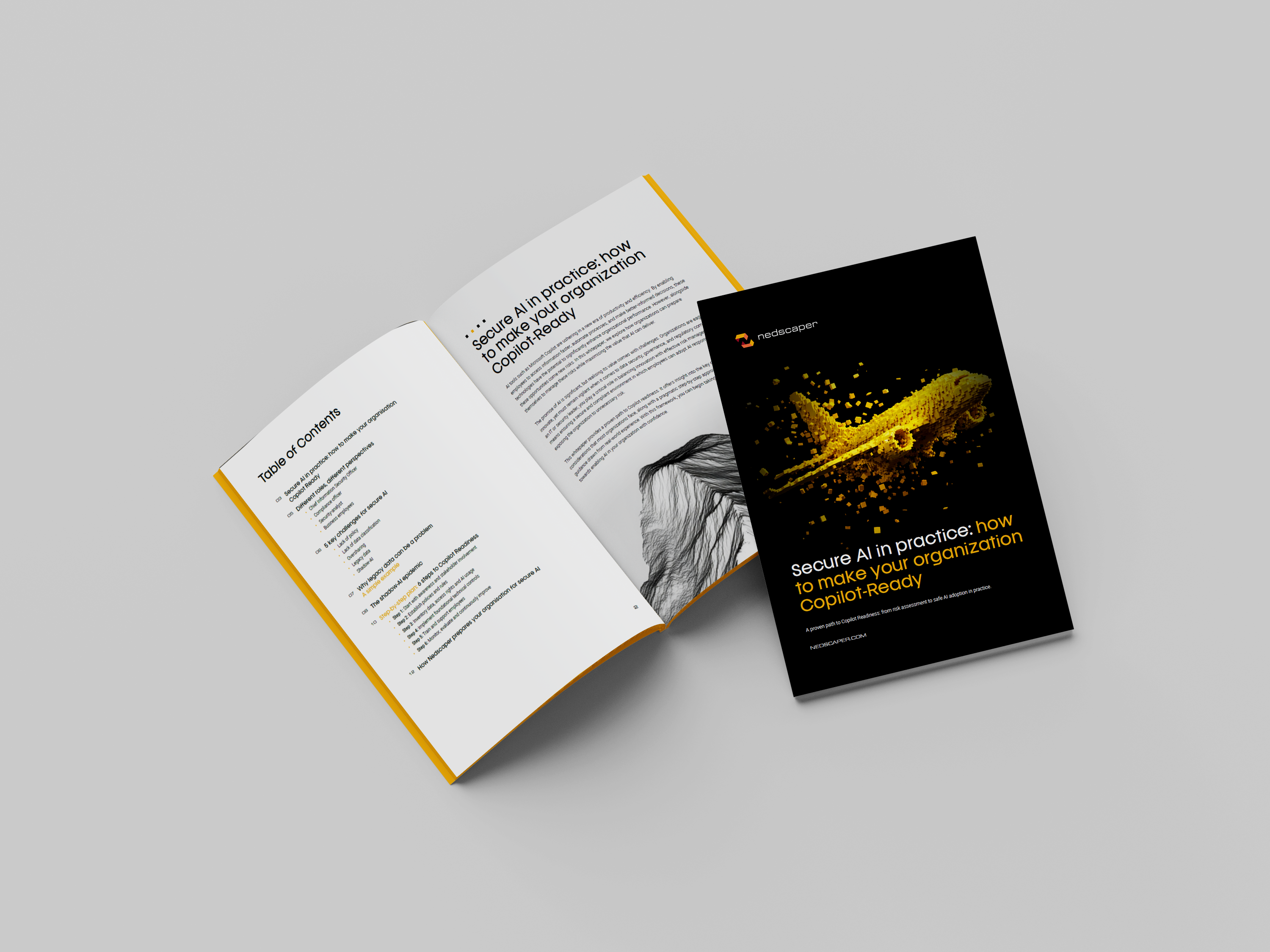 Mockup_Nedscaper_Copilot_Readiness_ENG